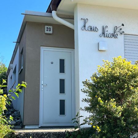 Haus Nicole Apartment Herrischried Exterior photo