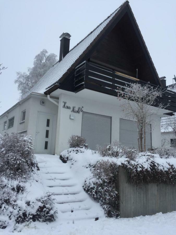 Haus Nicole Apartment Herrischried Exterior photo